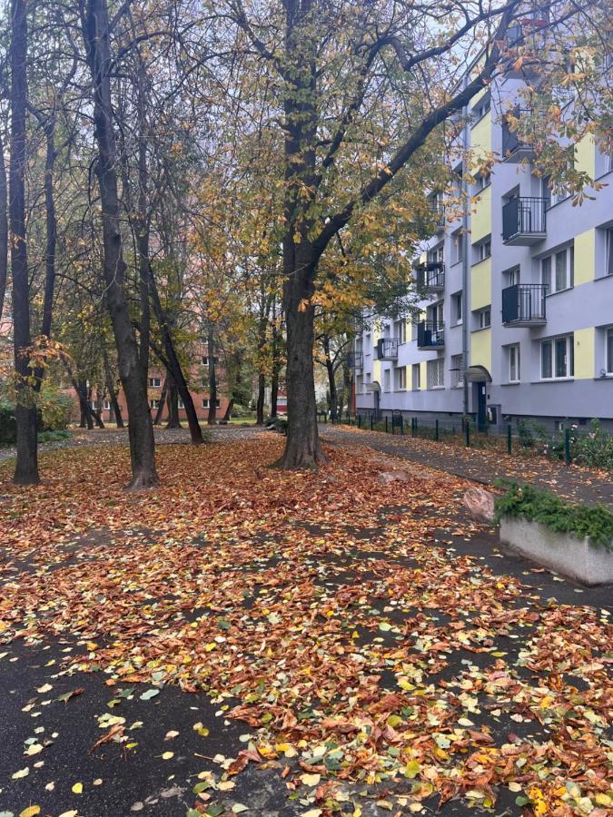 Yellow Apartment Airport Galeria Mokotow Netflix Βαρσοβία Εξωτερικό φωτογραφία
